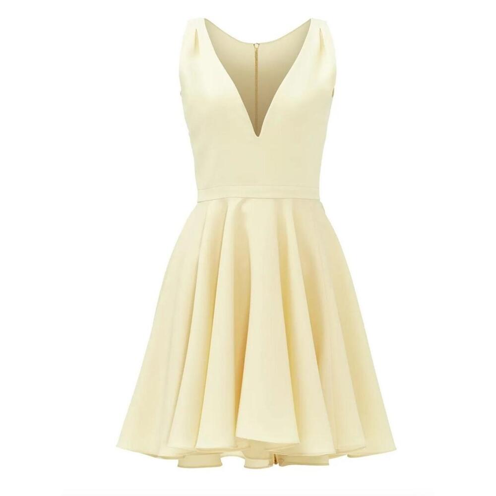 Marilyn Dress by Allison Parris Down the Middle Dress, Size 4 NWT